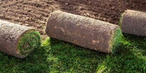 SOD INSTALLATION TORONTO