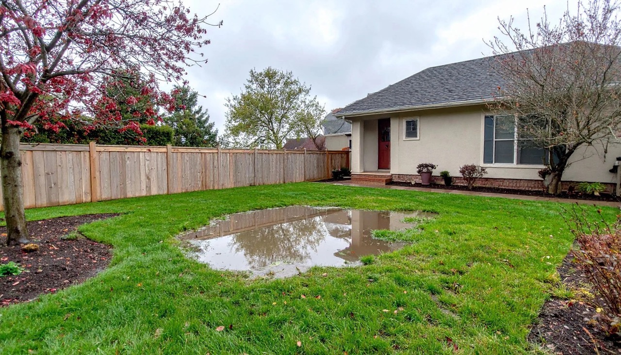 standing water in backyard after rain wet lawn drainage issue