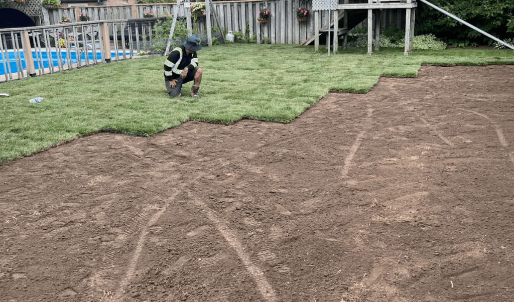 best time to install sod Toronto