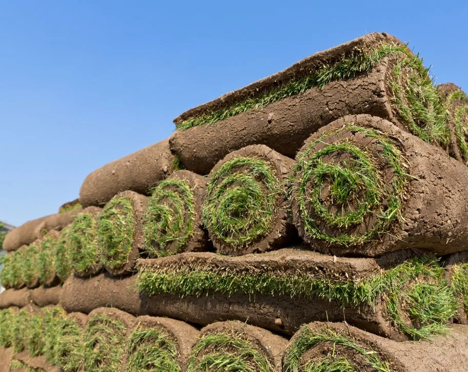 sod installation cost per square foot
