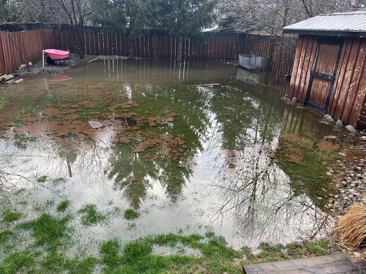 yard drainage clay soil Toronto Identify surface water versus subsurface saturation. Toronto drainage