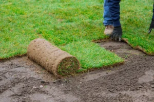 sod installation cost Toronto