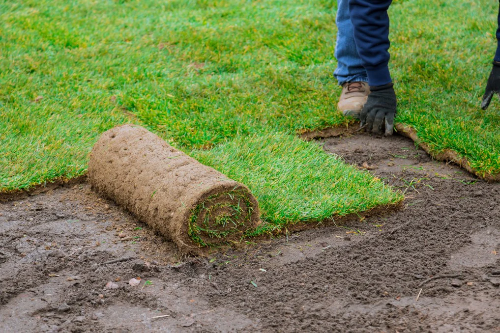 sod installation cost Toronto