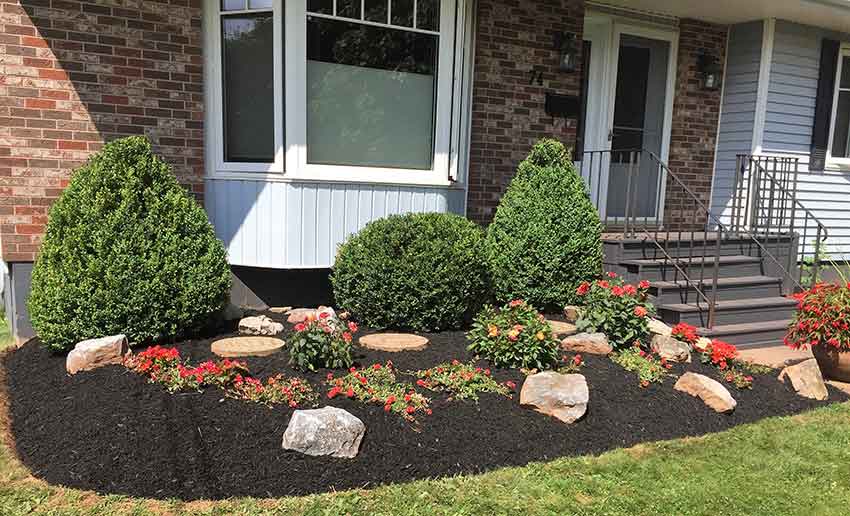 plants along fence for privacy