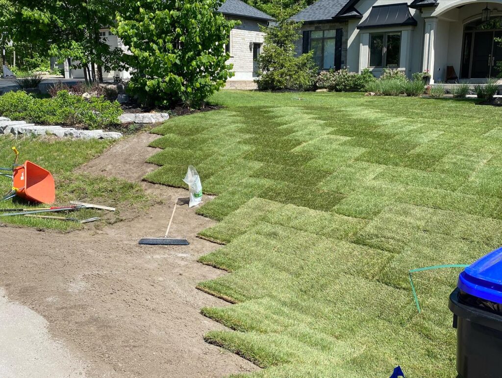 new sod care guide