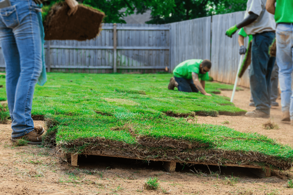 sod before selling house