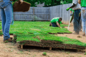 sod before selling house