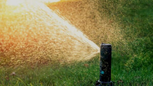 Why Are My Sprinklers Spraying the Driveway or Sidewalk?
