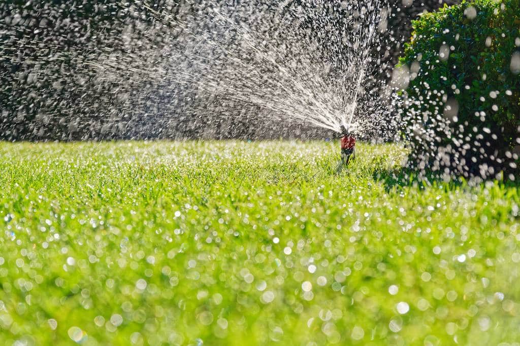Why Is My Sprinkler Head Not Popping Up?