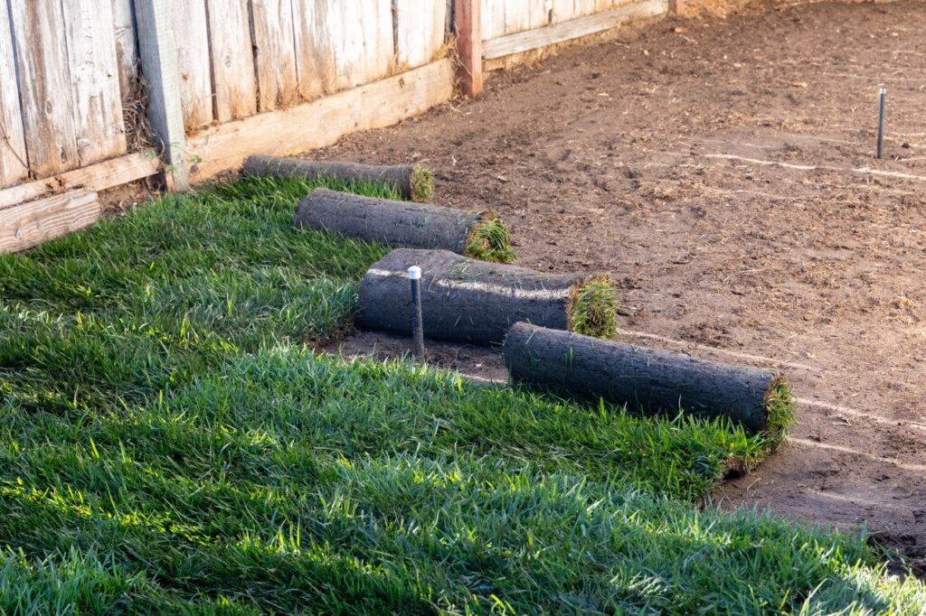 Why Is My New Sod Not Rooting?