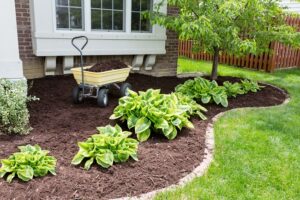 Perennial Garden Installation Cost Toronto