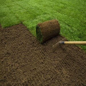does sod increase home value