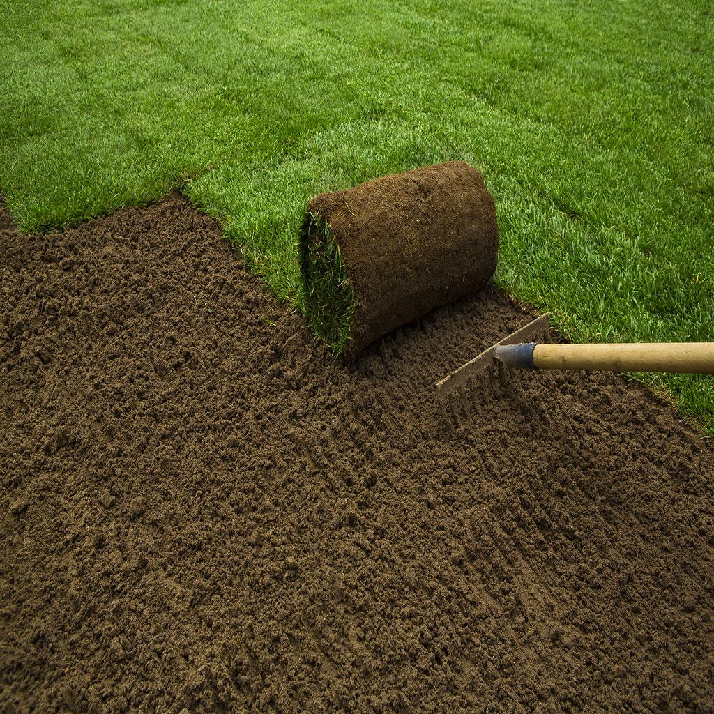 does sod increase home value