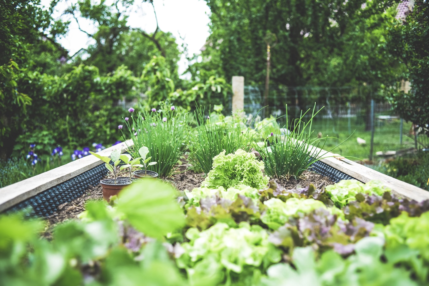 garden bed cleanup Toronto weeding before mulch