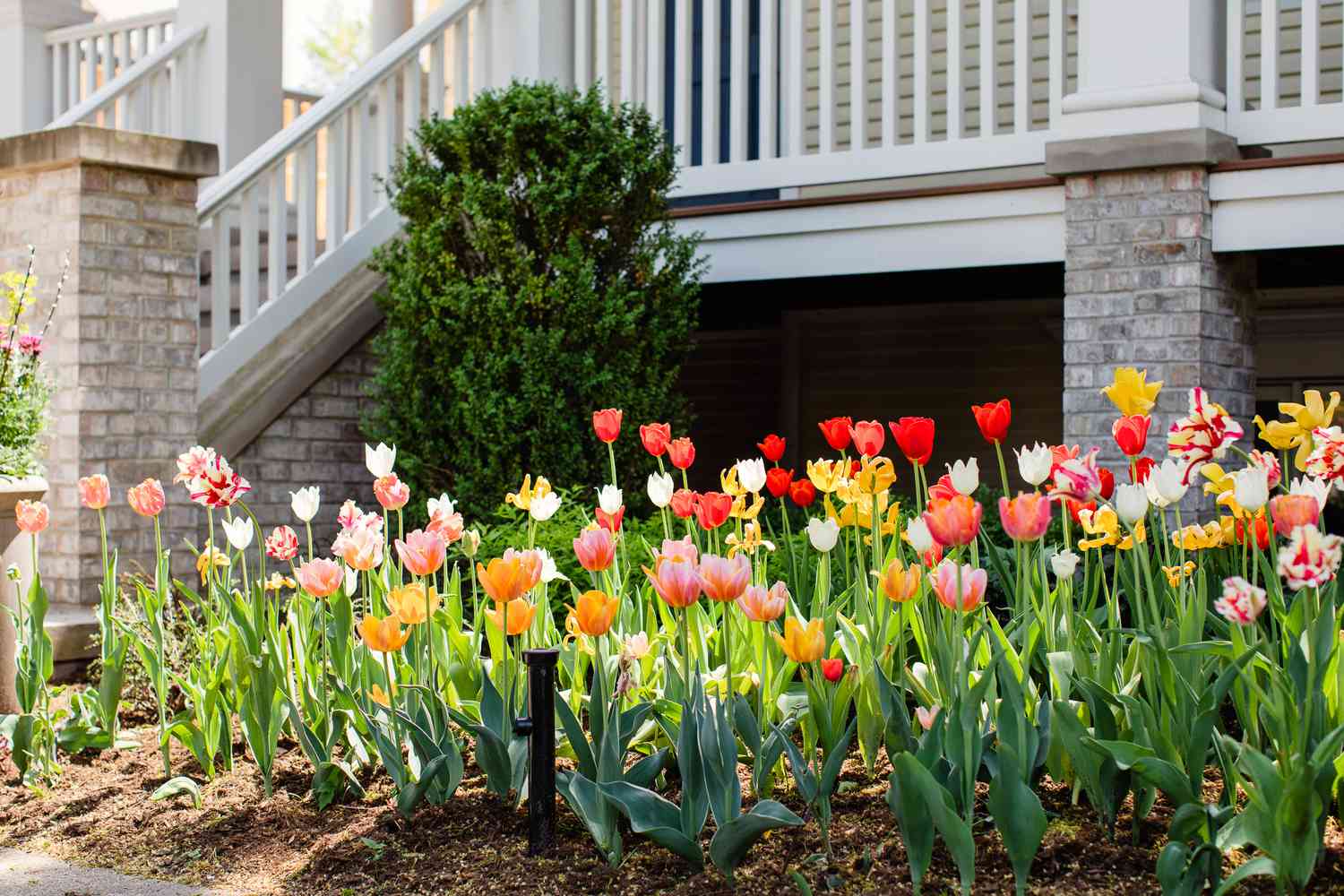 garden bed cleanup Toronto perennial cutback