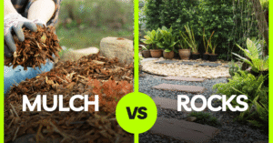 mulch vs river rock around house