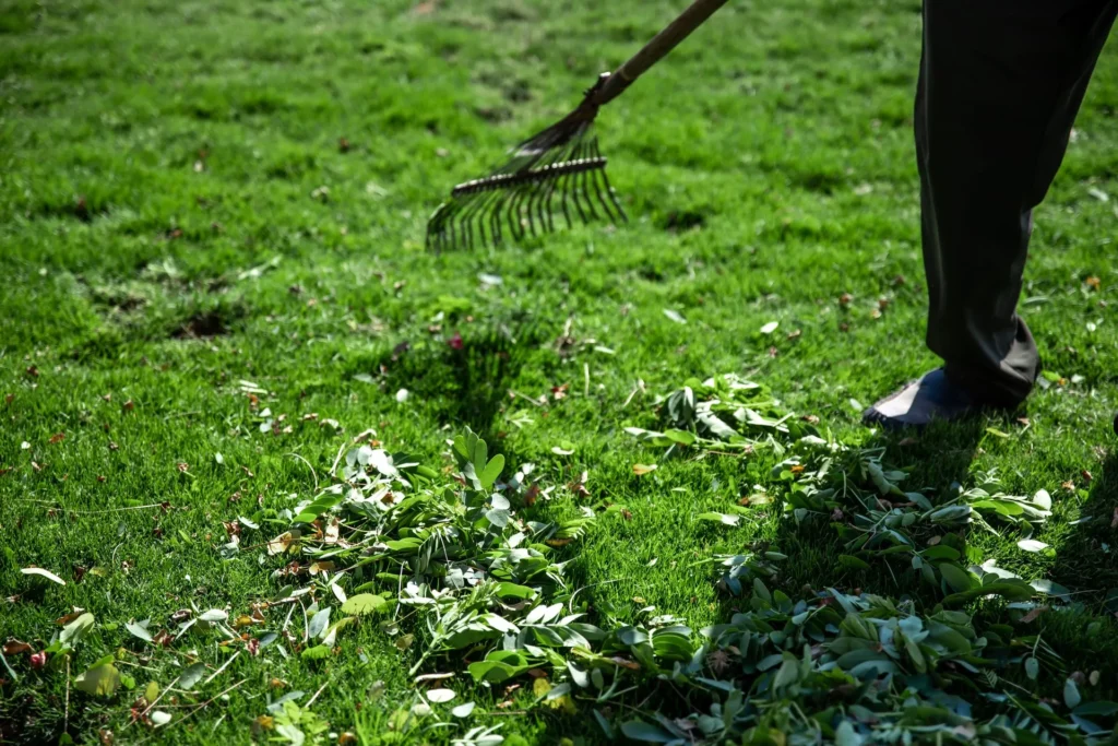 Garden Bed Cleanup Cost Toronto Spring Fall