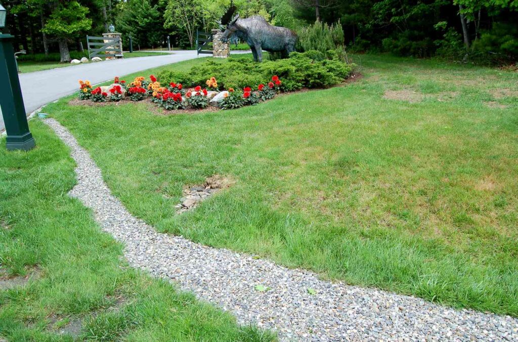 Regrading Vs French Drain Backyard Water