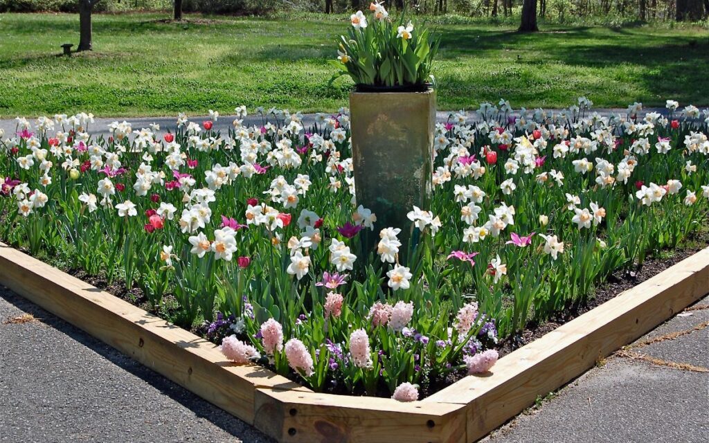 How to Prepare Garden Beds Before Planting Shrubs and Perennials