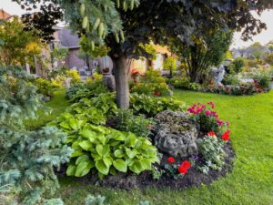 Low-Maintenance Front Yard Soft Landscaping Ideas for Toronto Homes