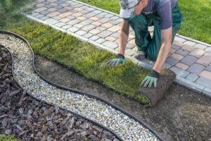 Best Edging for Mulch Beds