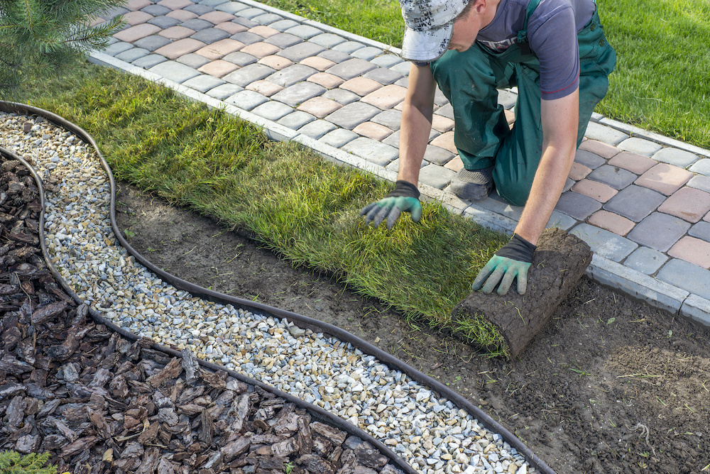 Best Edging for Mulch Beds
