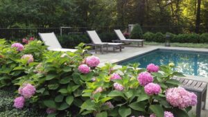 What to Plant Around a Pool in Toronto